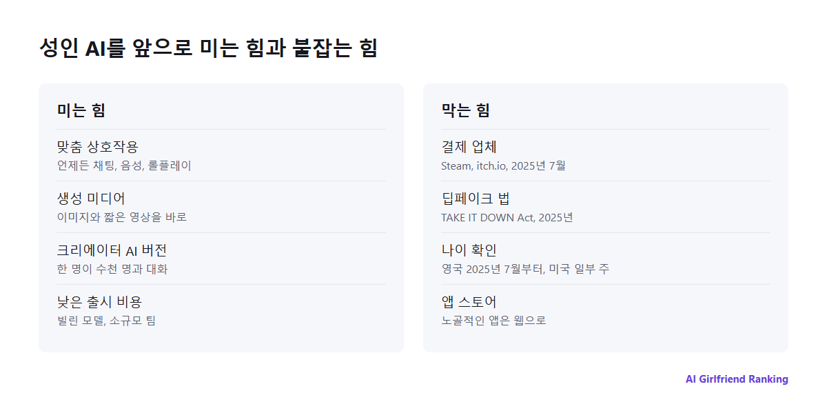 AI 성인 산업을 움직이는 힘: 개인 맞춤, 생성 미디어, AI 클론은 앞으로 밀고, 결제 업체, 딥페이크 법, 나이 확인, 앱 스토어는 막아서요